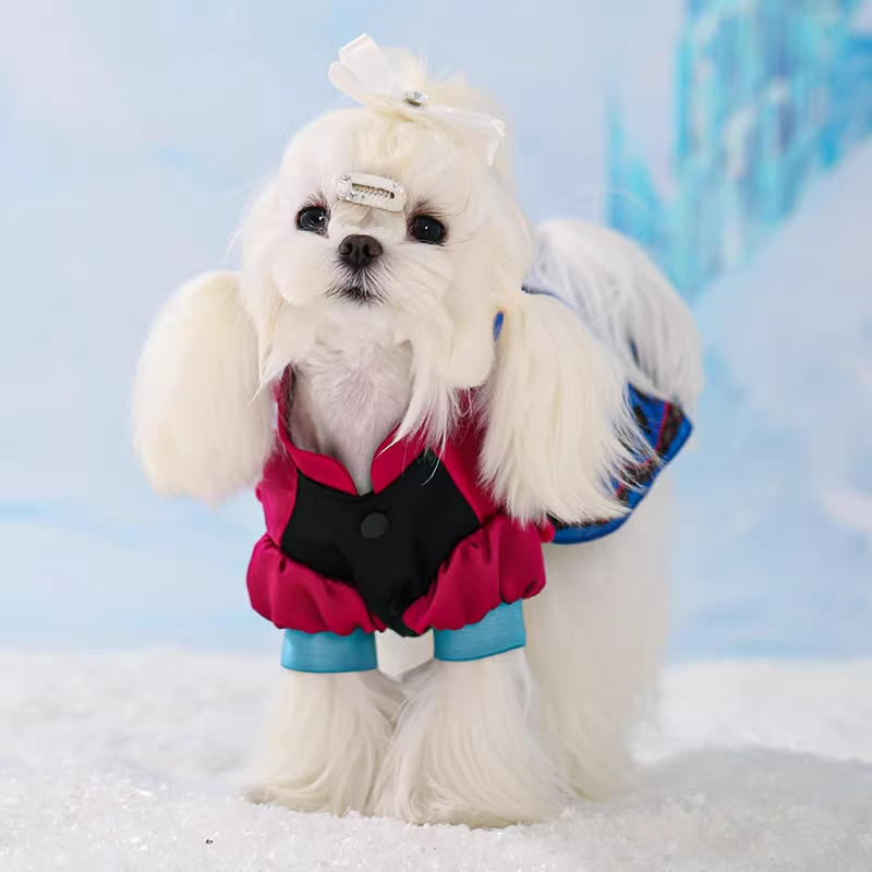 Disney Aisha Pet Princess Teddy Perro Vestido de manga abullonada Vestido de primavera y otoño Vestido lindo