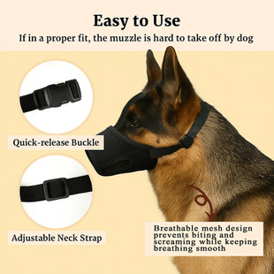 �¿����С�д���Ȯ������� ��ҧ���y�Է���ֹ���� ������Ʒ