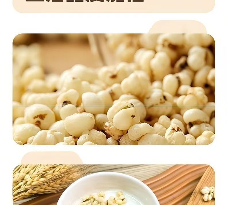 Roasted Coix Seed Yi Yi Ren Snack Crispy Ready to Eat No Additives 100g specifications