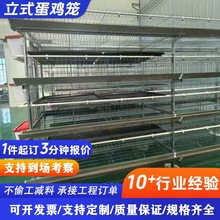 蛋鸡笼层叠式养鸡设备立式三层四层易清粪镀锌鸽子笼鹌鹑养鸡设备