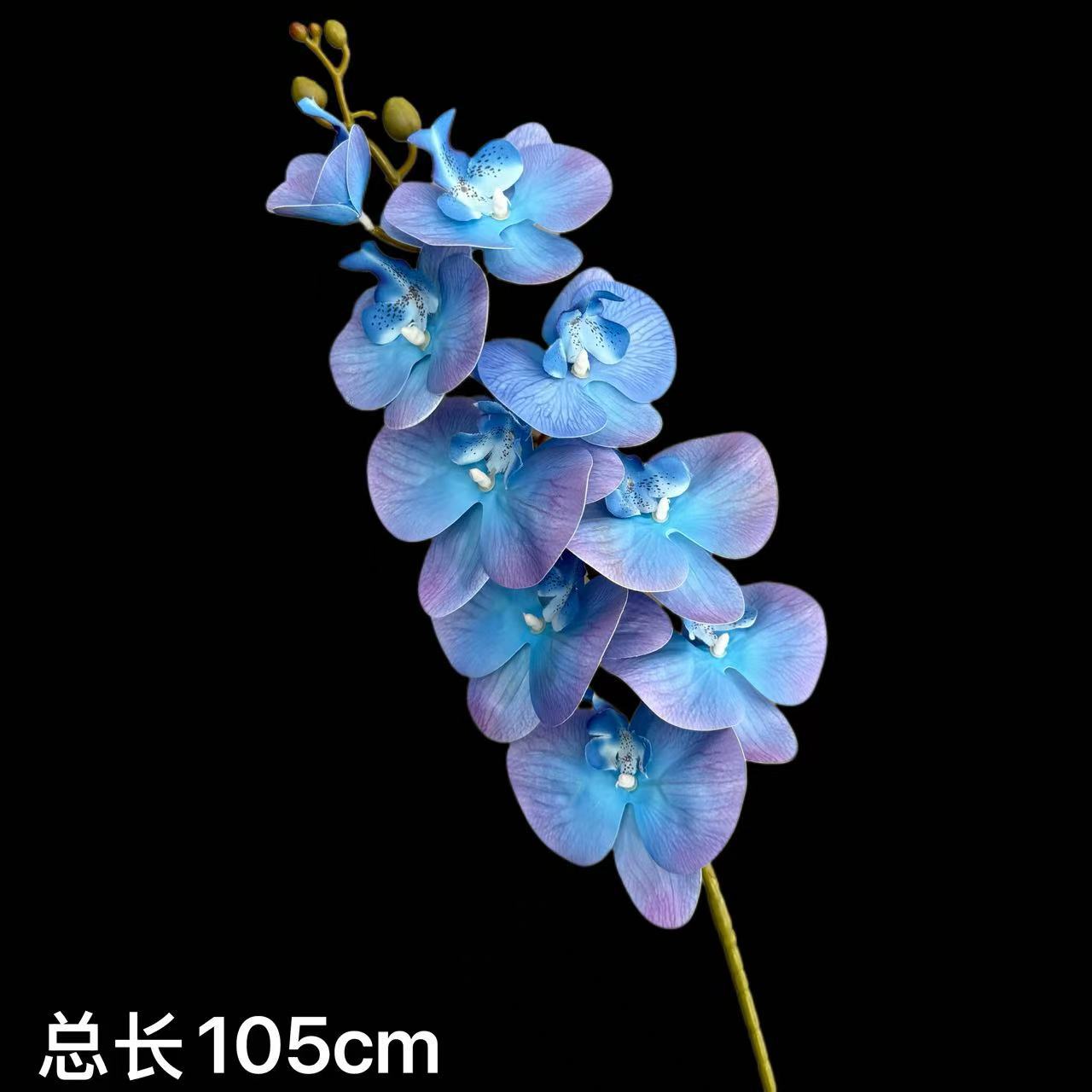 보라색
