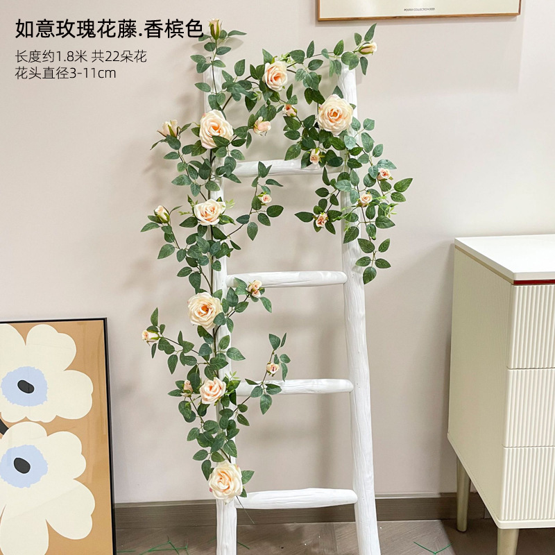 샴페인 로즈 플라워 덩굴 1.8 m