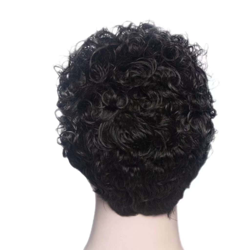 Men's Stylish Short Curly Synthetic Wig Trendy Full Length European American Hair Extensions Average Size High Temperature Lace For Everyday Wear_voghion.com