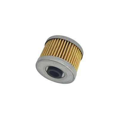 Oil filter Cf250 300 Atv