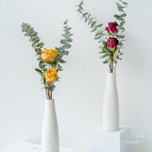 �ȼ���õ��ɻ������Ҿ��b[����Ȼ�滨������۹��zӰ����