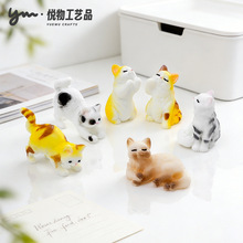 �ɰ�дʵ���޲�żСè�������� diyװ��Ʒ������㳵������С�ڼ�