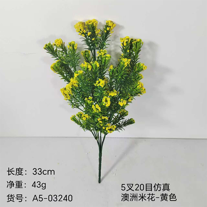 Flores de arroz de Australia amarillo 5x20