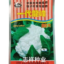 花椰菜种子白花菜 花椰菜种子白花菜品牌 图片 价格 花椰菜种子白花菜批发 阿里巴巴