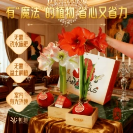 花盆容器;栽培基质;营养液