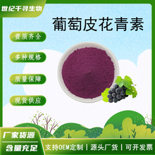 葡萄皮花青素多规格原料提取物水溶性葡萄皮色素 现货供应 kg装