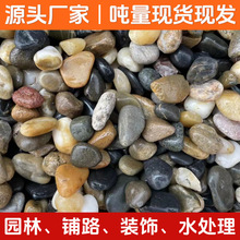 鹅卵石天然原石白色黄色公园铺路庭院园林造景雨花石福建厂家批发