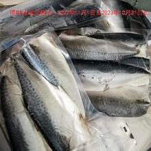 香煎鮁魚片鮐鮁馬鮫魚新鮮去骨真空450克冷凍一鹵鹽出口日本