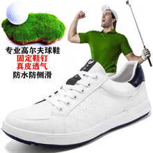 跨境專供大碼男士高爾夫球鞋戶外運動休閑男鞋防水防滑golf男鞋