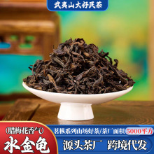 源厂优品四大茗枞水金龟梅子香武夷岩茶莲花峰山场水金龟乌龙茶