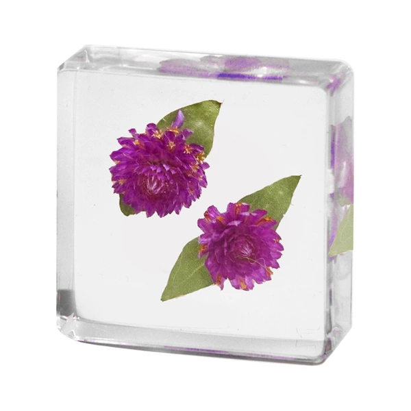 3.8cm small square Qiannihong