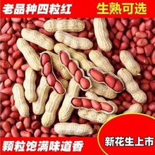 ���������ږ|�������t�tƤ�����������r���Ԯa�tƤ������ԭζ����