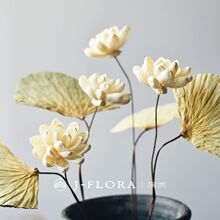 �L��ɏ���ɻ�˯ɏ�ɻ��b�Ʒ�[����ʽ�Ҿ�ܛ�b���⻨��ͨ�ݻ���Ʒ