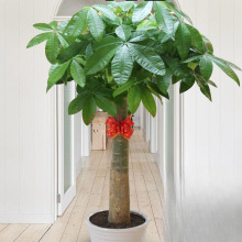 lؔ҃Դ͏dGֲwUΗUpӴؔ֘lؔ