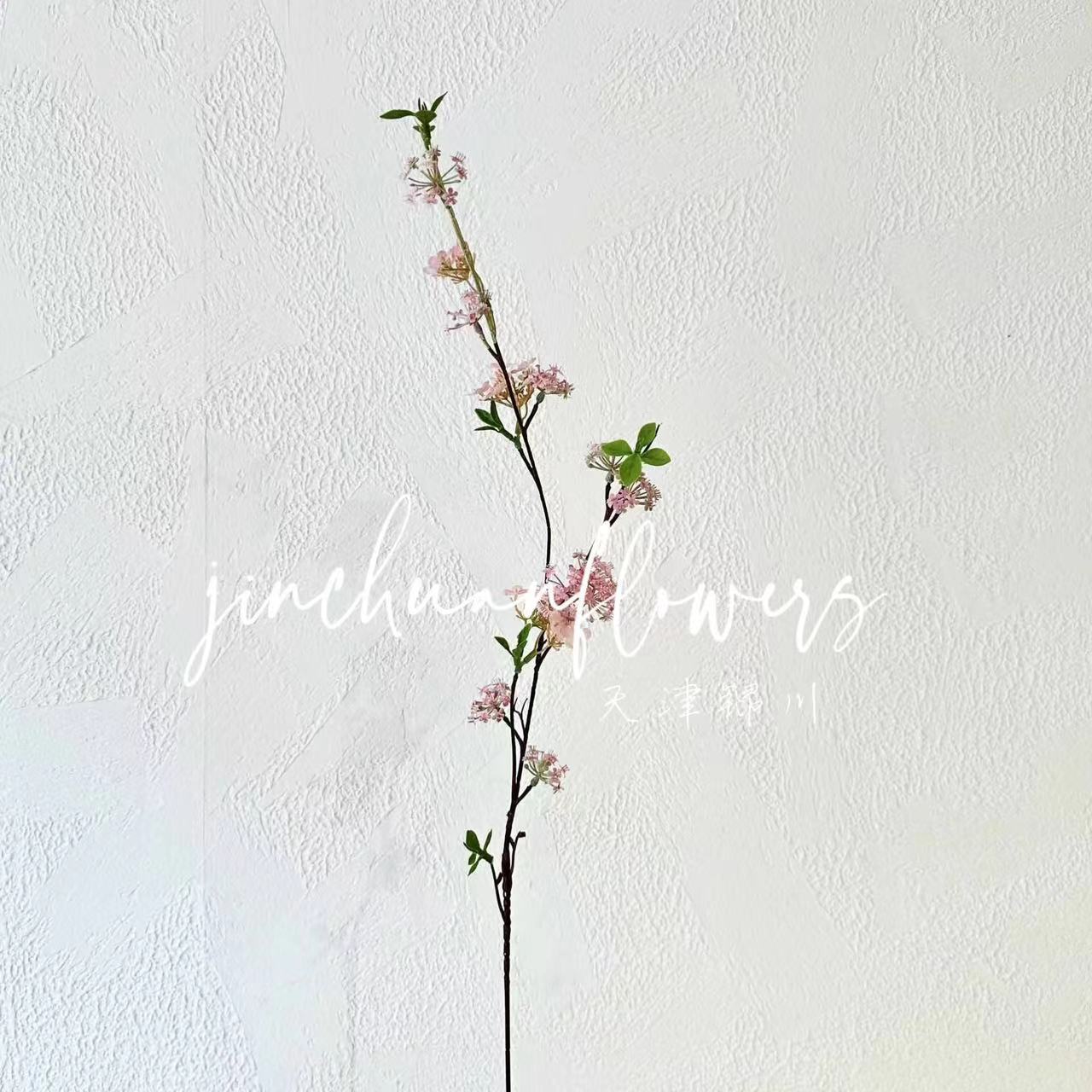분홍색