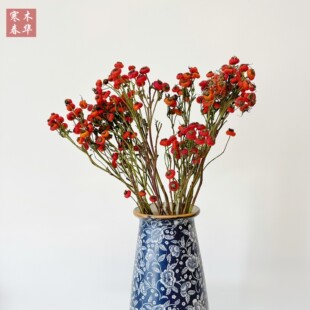 �Nޱ��õ����ɻ� �S��ֱ��������Ļ�c�Ҿ��b͹�