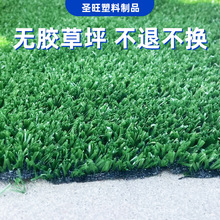 �����G�����÷����ƺ����و��WУ�\�ӾGɫ���ϵ�̺�˹��ٲݑ���