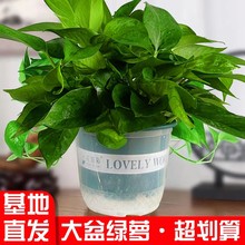 ִ֧l180G}ԻlLپG}҃ȾGֲСGj