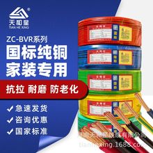 BVRܛ늾˼~b늹늾 VRоܛ늾|