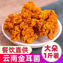 金耳干货500g云南产脑耳新鲜干耳银耳黄木耳黄耳金耳菇