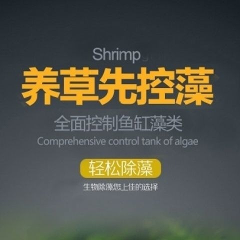 c16892e8-5ba1-49c3-b9ab-19cdfae667a8.jpe