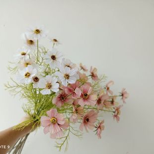 ���滨 ��˹�� ҰȤ С�����{ ��Ȼ��ˇ���廨 ���g��O �zӰ��