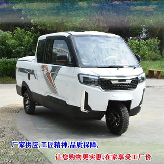可上牌家用代步三轮车封闭带蓬客货两用载客载人成人电动车电瓶车
