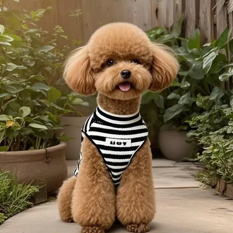 Mascotas verano retró rayas perros gatos chaleco pequeño perro antipello ropa de mascotas transpirable Teddy Bear