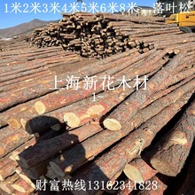 |һ~ԭľ  ~ľ ľ 4- 6~ ľ