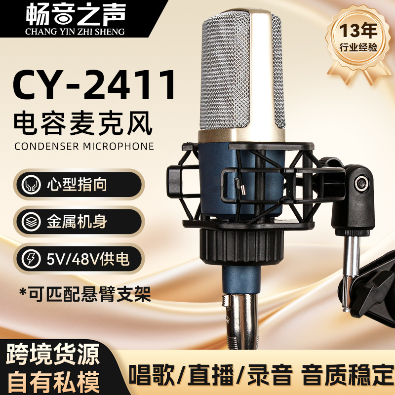 Condenser Microphone Full Metal Popular Live Streaming Karaoke Recording Home High-Quality Desktop Microphone