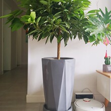 �Ӻ����бP��݆�f��݆�Ƅӻ��P�����L݆�A�εױP���Љ|�׽�ˮ�P