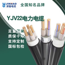 �S�ҹ������~�����|�����|�͉�YJV22 3*50+2*25�����~о��|��