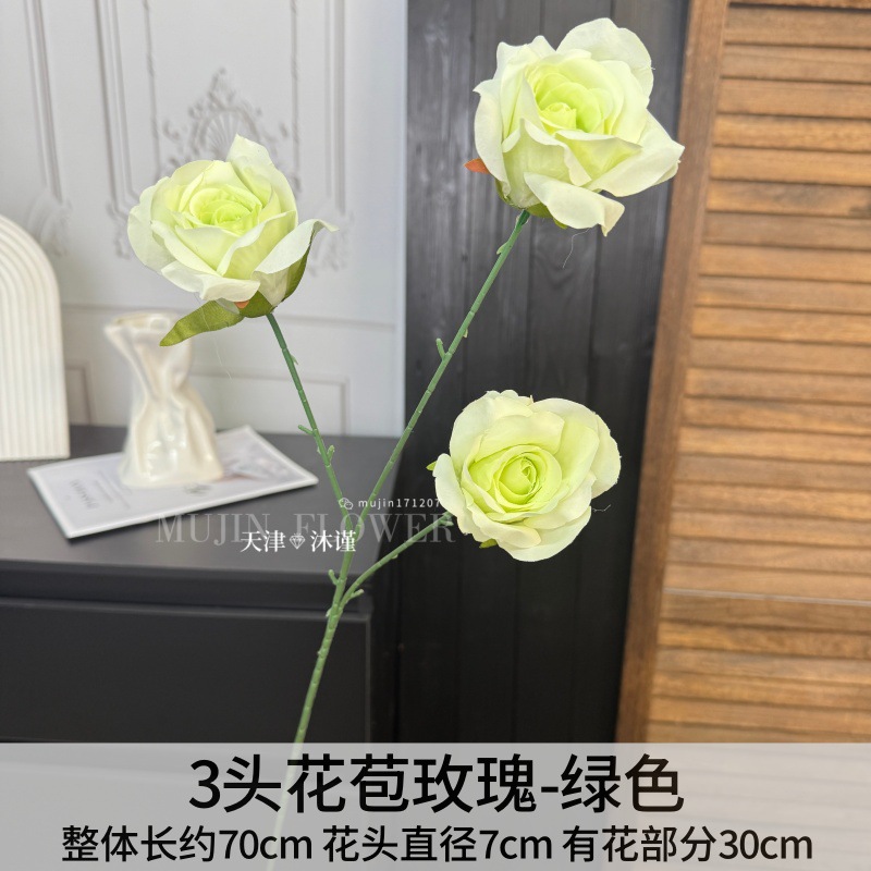 3송이 꽃봉오리 장미