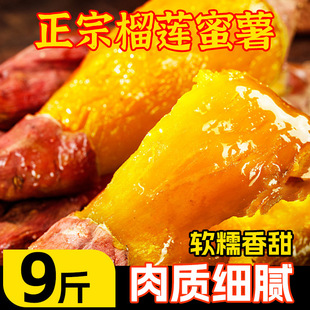 ������ɏ������ɯ��t�����r5���S�������عϳ�����ɯ�t������