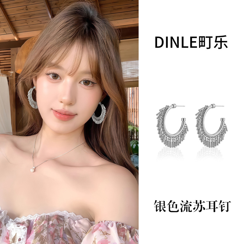 S925银针欧美夸张流苏耳环女高级感轻奢百搭简约气质耳圈耳饰批发|undefined