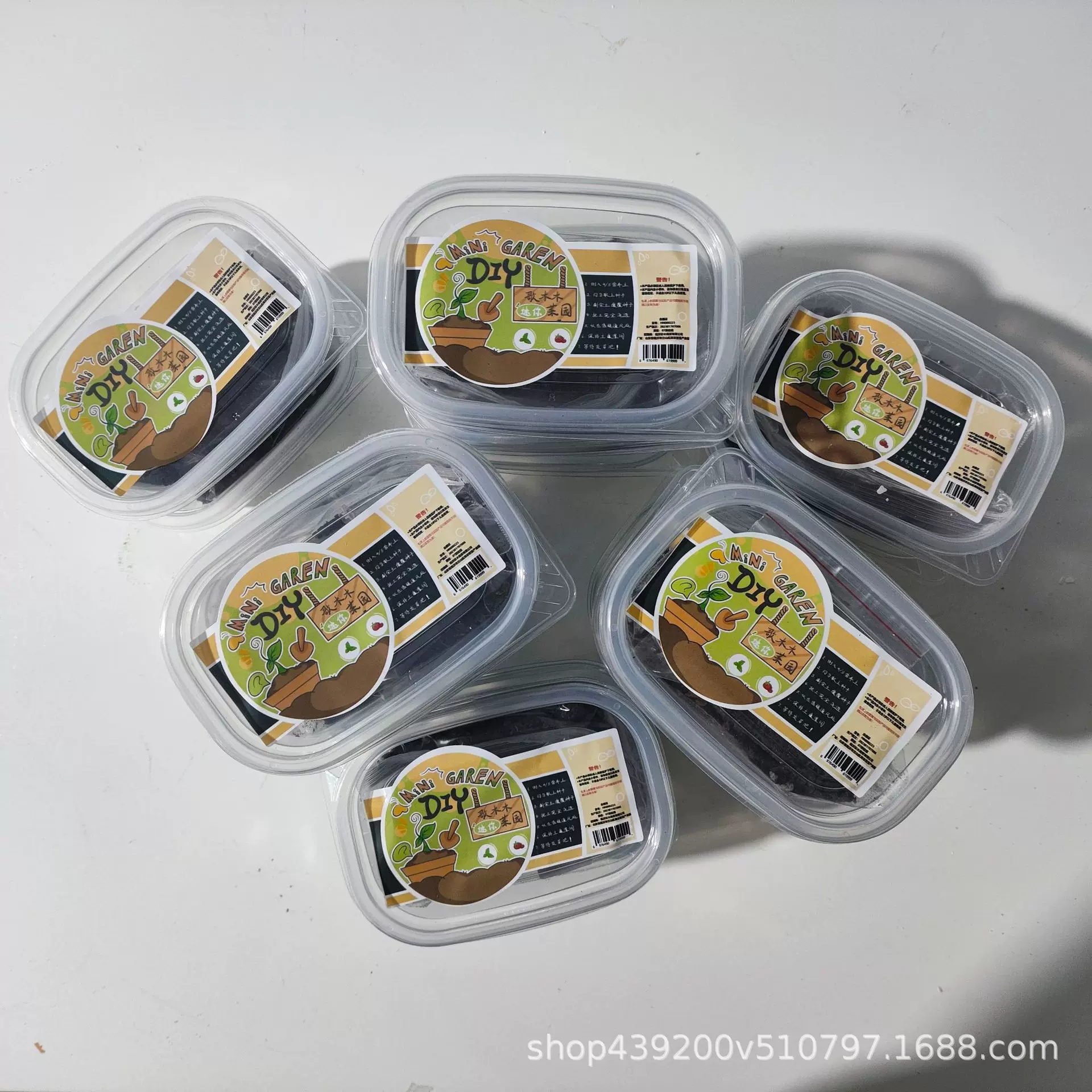 迷你盆栽diy儿童种植小盆栽幼儿园花草菜植物学生观察绿植种子盒