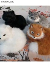 ��ͨë�q�ƷëƤ����ģ��ë�q��߰׺���ɫ����ɭ�ք����ģ�M