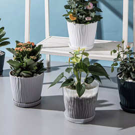 阳台多肉植物盆波纹圆形花盆盆栽家庭园艺月季花盆加厚塑料