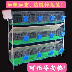 麓f母兔籠外掛產箱9位12位兔子籠繁殖籠子母兔籠育肥兔籠塑料底家