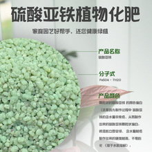 ���၆�F�a�F���ϗd�ӻ���ֲ������ͨ���͵���⛷��w���B��ˮ��С