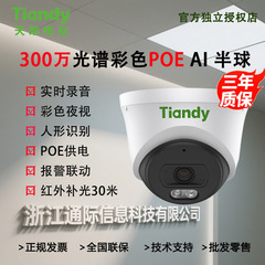Tiandy天地伟业300万POE红光/白光远程APP拾音录音安防监控摄像头