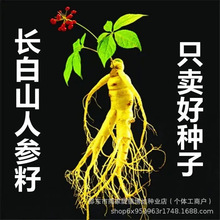 �L��ɽ�˅��N����ƷҰɽ���N���ļ��׷N��ș���׻��҃��^��������