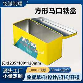 厂家批发方形手提铁盒玩具饰品收纳盒零食礼盒手挽马口铁盒定制