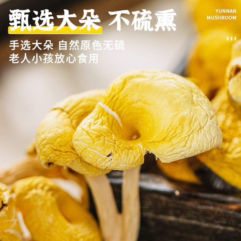 楷美2025 ニンニク茸 雲南特産 黄色きのこ ニンニク茸乾物 250g 卸売 大口注文対応|undefined