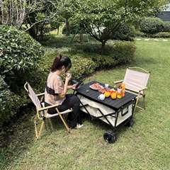 Camping van outdoor push cart foldable cart mobile shopping cart camping hand truck foldable push cart push cart