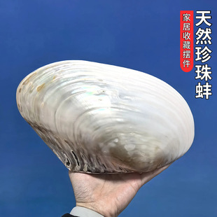 ��Ȼ����ؐ���[���p��������Ҿ��b�Ʒ�ղ�ؐ����ˇƷ����Ĕz��